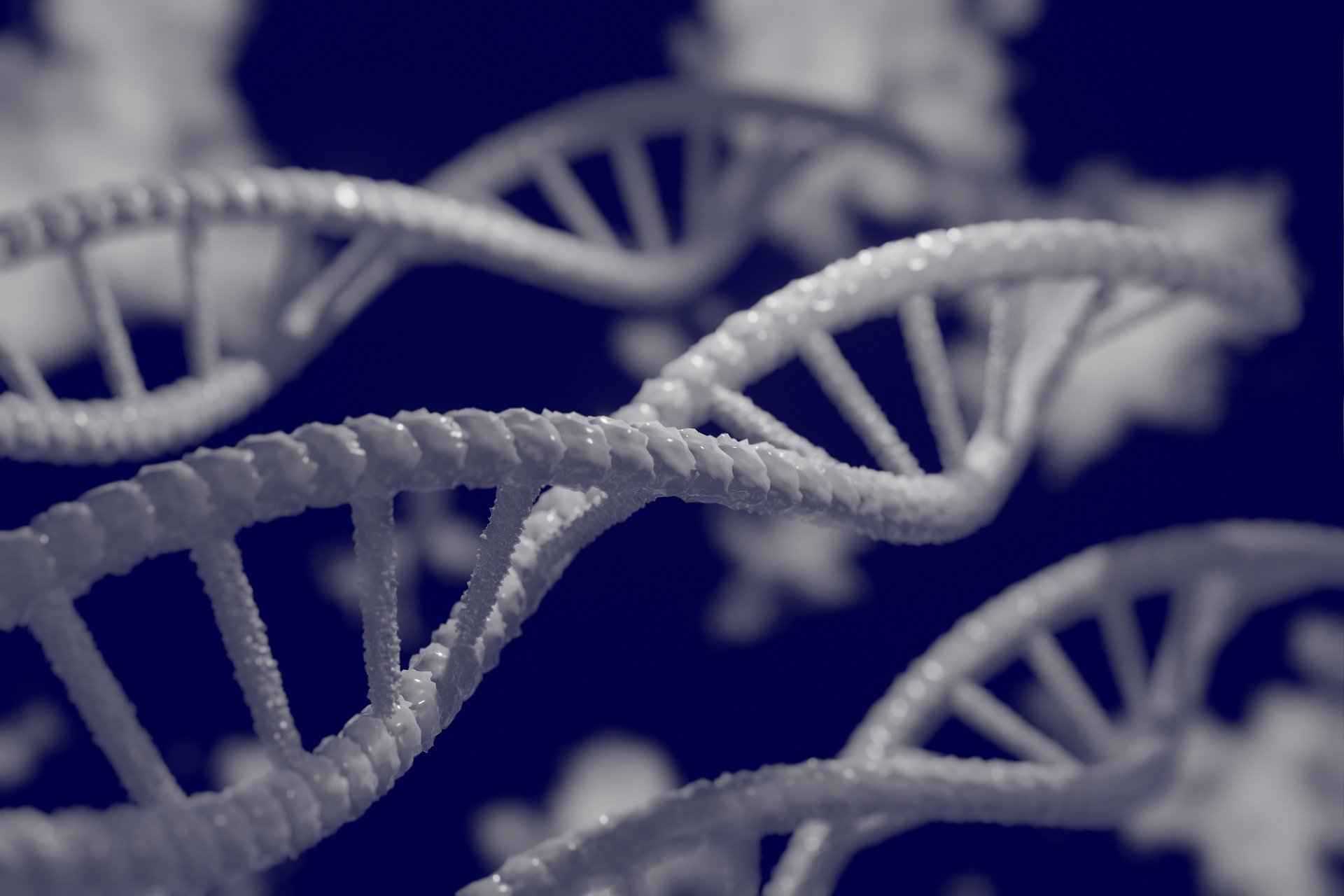 Генетические мутации как ключ к продолжительности жизни.